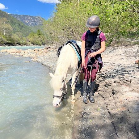 Am Sonnhof Διαμέρισμα Λάνγκενφελντ Εξωτερικό φωτογραφία